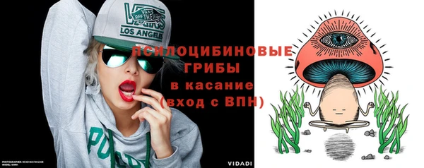 соль ск Волосово