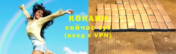 соль ск Волосово