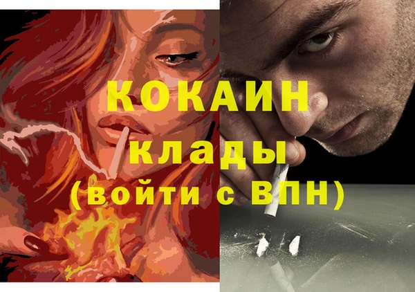 соль ск Волосово