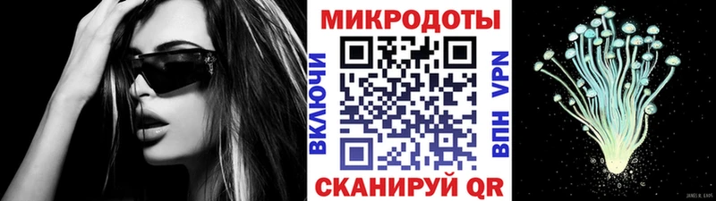 Купить где  Бодайбо  Псилоцибиновые грибы мицелий 